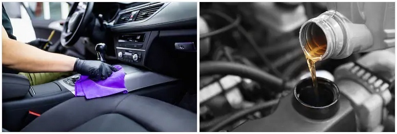 Autochemie světluška