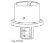 Termostat, chladivo BorgWarner (Wahler) 411045.82D