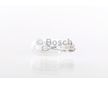 Zárovka BOSCH 1 987 302 518