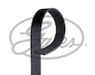 ozubený klínový řemen GATES 9PK1715HD