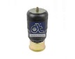 Mech, pneumaticke odpruzeni DT Spare Parts 4.81160