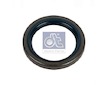 Tesnici krouzek, hridel vacky brzdy DT Spare Parts 4.20683