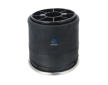 Mech, pneumaticke odpruzeni DT Spare Parts 10.26003