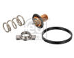 Termostat, chladivo FEBI BILSTEIN 173111