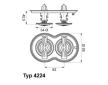 Termostat, chladivo BorgWarner (Wahler) 4224.80D