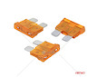 Autopojistky STANDARD pouzdro 3 ks 5A AMIO-05103