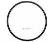 Cnh těsnící kroužek - guma | C0NN7C000A