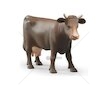 Figurka - Kráva 1ks 02308 BRUDER
