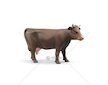 Figurka - Kráva 1ks 02308 BRUDER