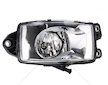 HALOGEN P/M RVI K/C/T/D PRAWY  GAMA T VALEO VAL45158