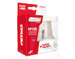 Halogenový duo blistr (2ks) sada LumiTec +100% H1 12V 55W DUO