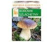 Hřib smrkový ( Boletus edulis ) mykorhyzní mycelium