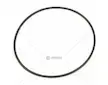 Kroužek těsnící | 9907004620