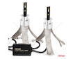 LED žárovky hlavního svícení FLEX+ H1 canbus 6000K 12V 24V AMIO-03655