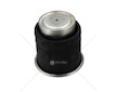 Mech, pneumaticke odpruzeni FIRESTON W01M588352