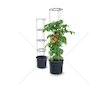 Plastový květináč 18 l pro pěstování rajčat - TOMATO GROWER