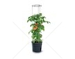 Plastový květináč 18 l pro pěstování rajčat - TOMATO GROWER