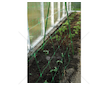 Síť podpůrná, pro popínavé rostliny, 2x20m PLANT NET