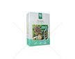 Smrž obecný (Morchella esculenta) mycelium 750 ml