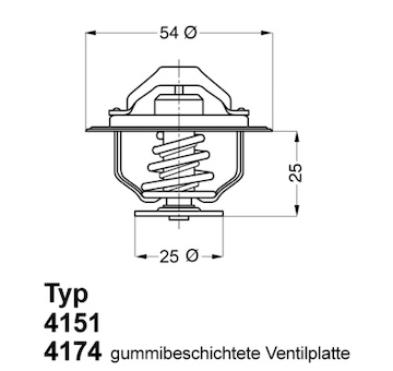 Termostat, chladivo BorgWarner (Wahler) 4174.88D