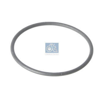 Těsnicí kroužek DT Spare Parts 1.24315