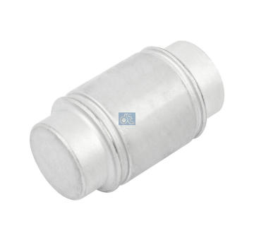 Kladka brzdové čelisti DT Spare Parts 10.23320