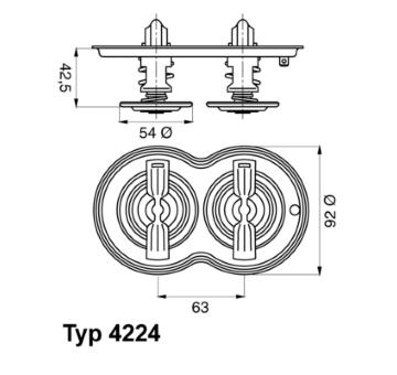 Termostat, chladivo BorgWarner (Wahler) 4224.80D