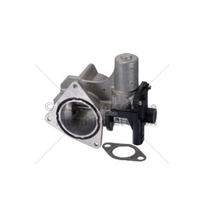 AGR-Ventil PIERBURG 7.00823.06.0