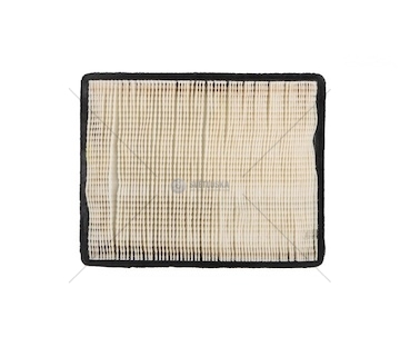 AIR FILTER, PANEL ENGINE DONALD P621014