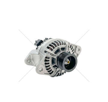 Alternator BUS 24V/150A/8 RIBS Neutral Box