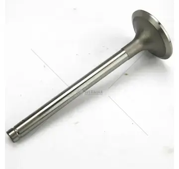 Amp sací ventil 8v | 78.005.014.1