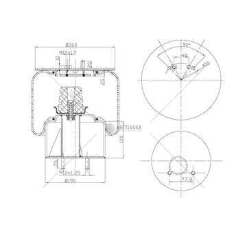 Bellow, air suspension DIAPRESS BUS 491 ANT 1S290-23V .CNG GART