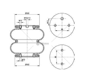 Bellow, air suspension MOLLA PN. T291/2 ASSALE SAF GART
