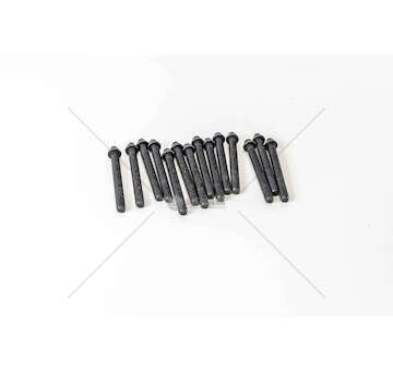 Bolt Kit, cylinder head BMW Serie viti testata Elring
