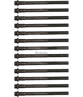 Bolt Kit, cylinder head D 2066 LF/LOH/LFG SERIE DA 13 PZ Victor Reinz