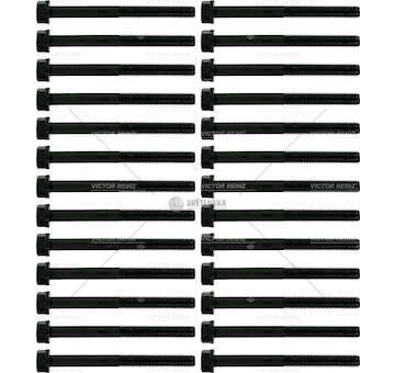Bolt Kit, cylinder head PX-7 164/186/208 - CF/LF Victor Reinz