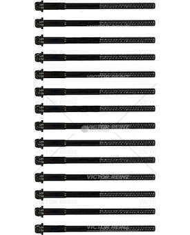 Bolt Kit, cylinder head Serie Bulloni Testa Cilindri Victor Reinz