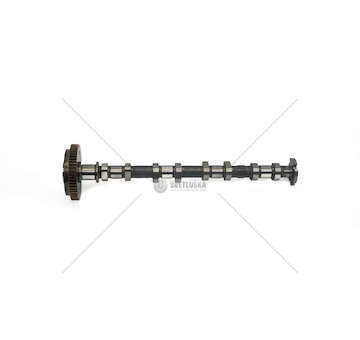 Camshaft 1.6 D B16 DTE/H/L ASTRA IN Mec-Diesel
