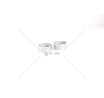 Camshaft Bushes F4AE0481/0681 - TECTOR Mec-Diesel