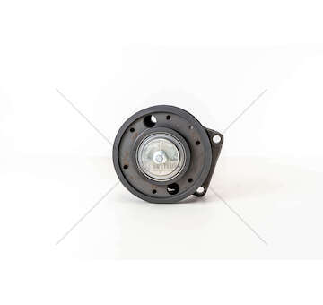 Clutch, radiator fan GIUNTO VISCOSTATICO STRALIS/TRAKKERF3BE3681 Iveco