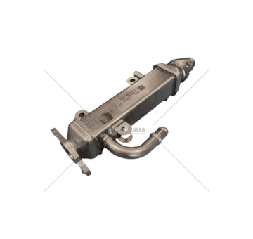 Cooler, exhaust gas recirculation NUOVO DUCATO EURO 6D - 2018-> F1A 2.3HPI Neutral Box