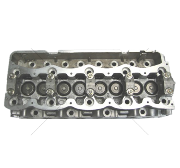 Cylinder Head 8140.21/27/47 - DAILY/MASTER/MOVANOW/VALVES Mec-Diesel