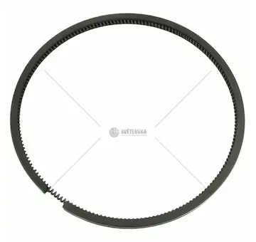 Cz pístní kroužek pr.100x5 ex | 5901-0391