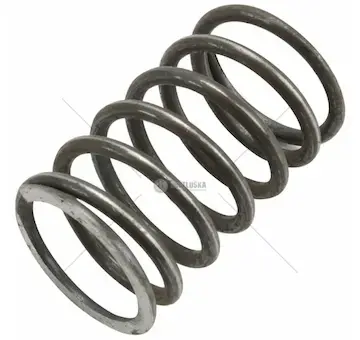 Cz pružina ventilu vnější (jrl+frt) | 78.005.018