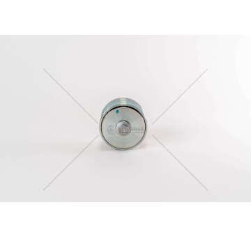 Deflection/Guide Pulley, V-ribbed belt CURSOR 8/10/13-STRALIS/EUROTRAKKER Iveco