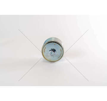 Deflection/Guide Pulley, V-ribbed belt F2BE3681 Iveco