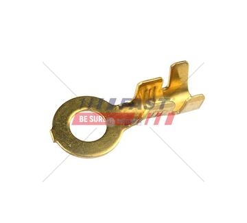 Doplňky - konektor oczkowy m-6/6 mm2 (5 szt) ft11449