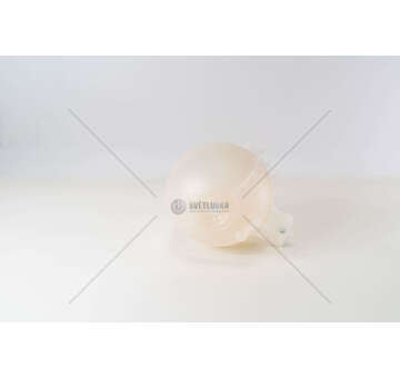 Expansion Tank, coolant OM 646.985 - SPRINTER Febi