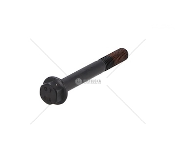 FLANGE SCREW DT 6.33065