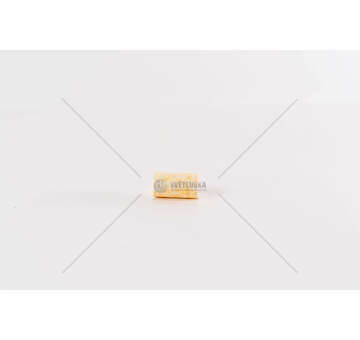 Fuel filter FILTRO CARBURANTE DAILY/STRALIS/CITYCLASS CNG Iveco